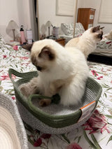 Molto contenta! 😍